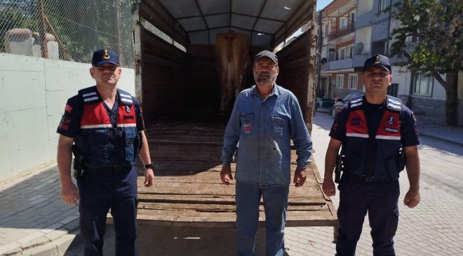 ESKİŞEHİR’DE ÇALINAN BÜYÜKBAŞ HAYVANLARDAN BİRİ BİLECİK’TE BULUNDU