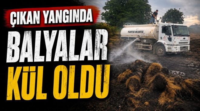 BİLECİK’TE ÇIKAN YANGINDA BALYALAR KÜL OLDU