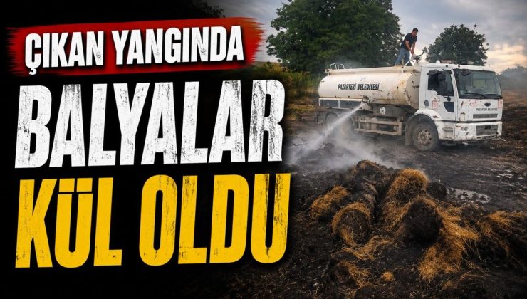 BİLECİK’TE ÇIKAN YANGINDA BALYALAR KÜL OLDU