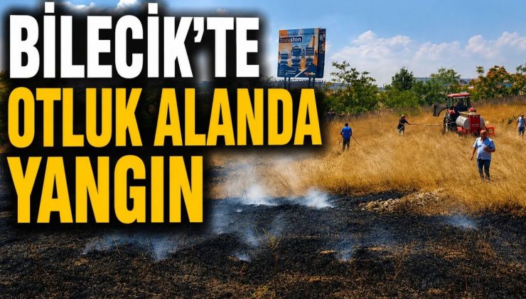 BİLECİK’TE OTLUK ALANDA YANGIN