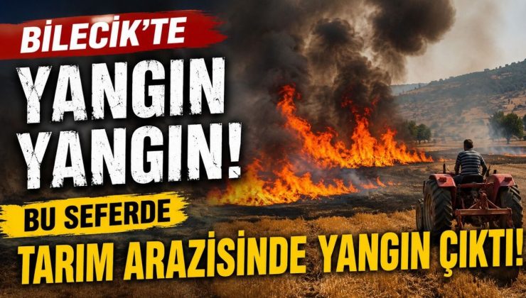 BOZÜYÜK’TE TARIM ARAZİSİNDE YANGIN ÇIKTI