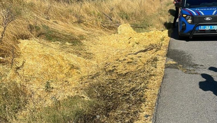 YOL KENARINA ATILAN SİGARA İZMARİTİ YANGINA NEDEN OLDU